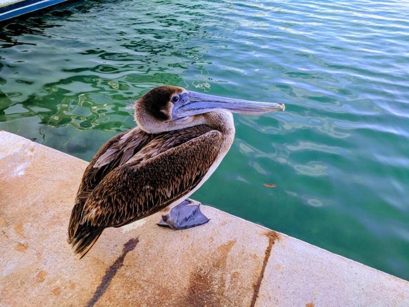 Bahia Principe & Golf Residences Тулум Экстерьер фото